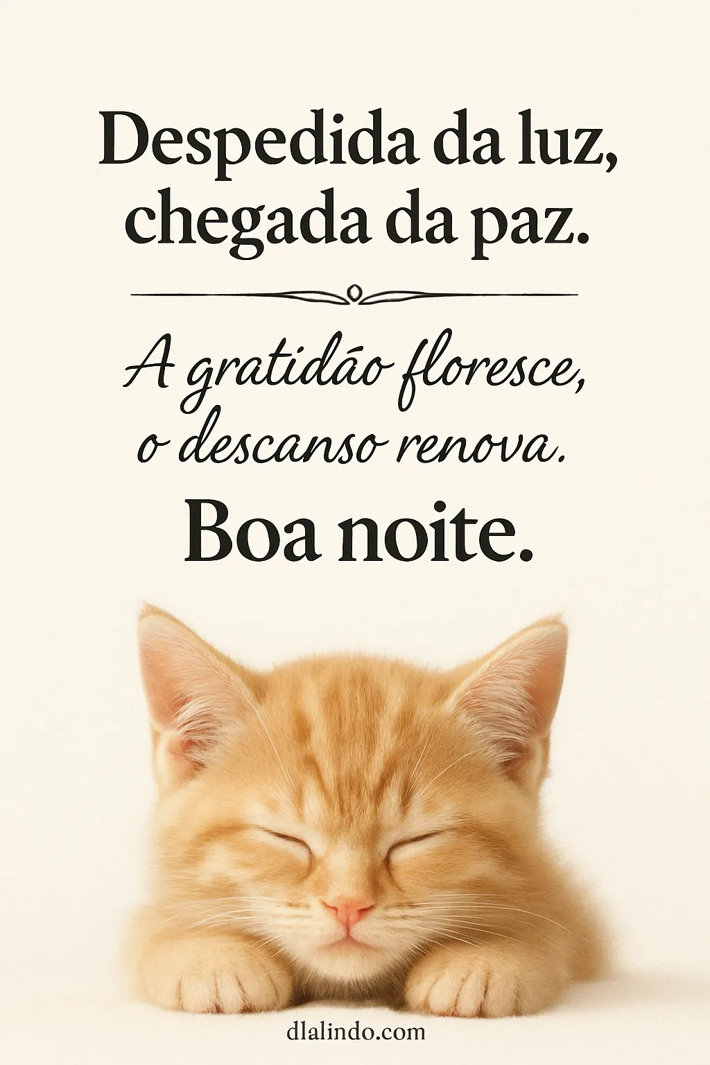 Gratidão Serena Noite