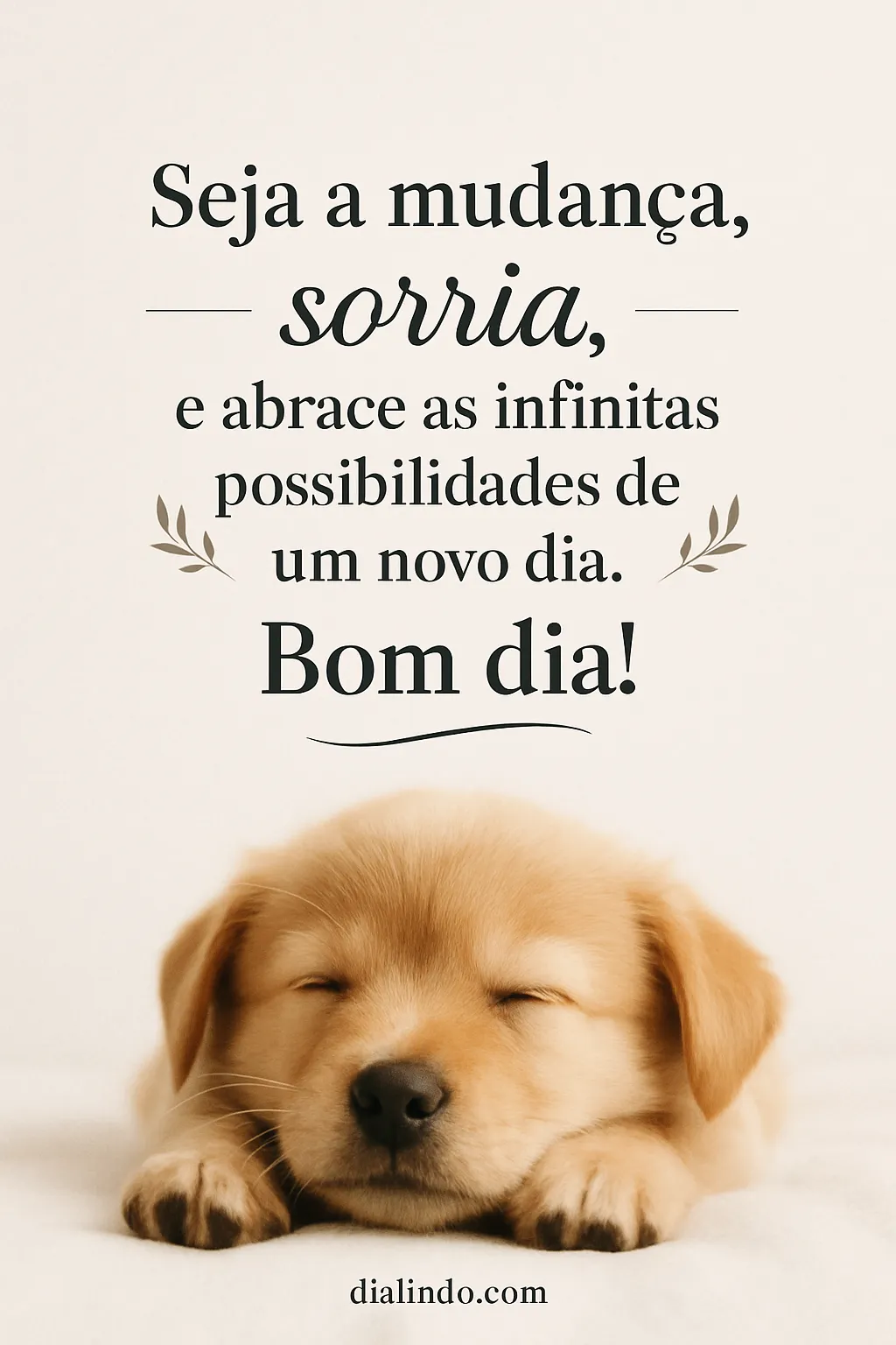 Sorria: Abraça o Infinito