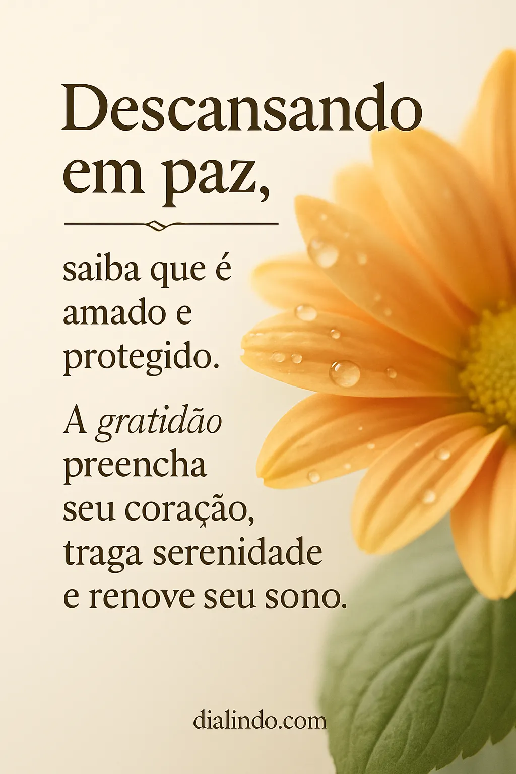 Gratidão: Serenidade do Sono