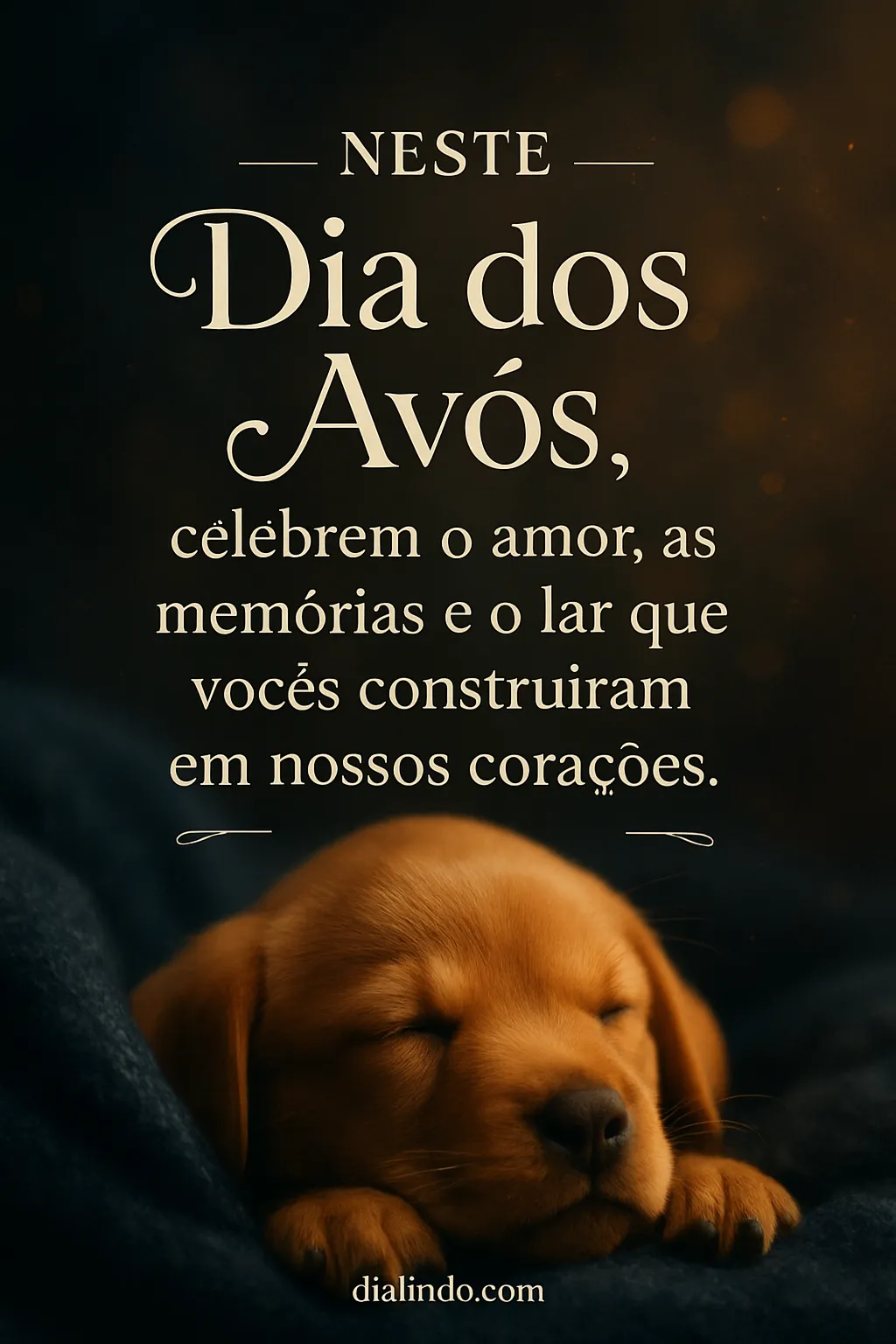 Lar do Coração Avós