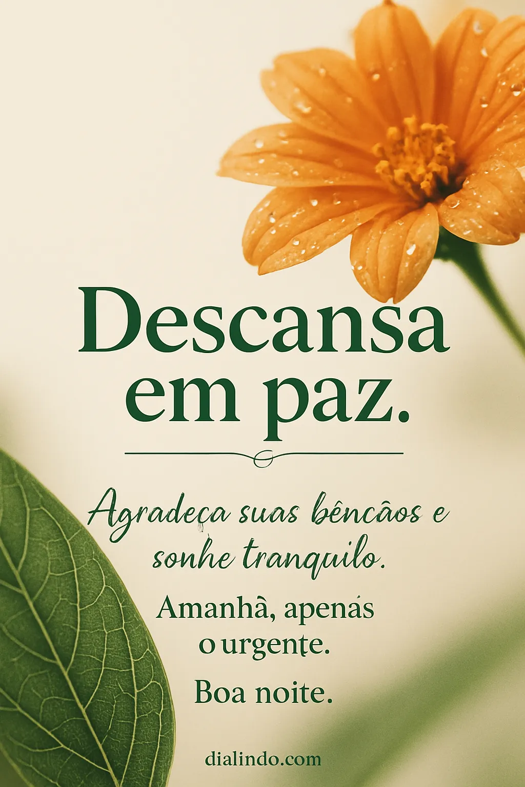 Paz,Gratidão, Amanhecer Urgente