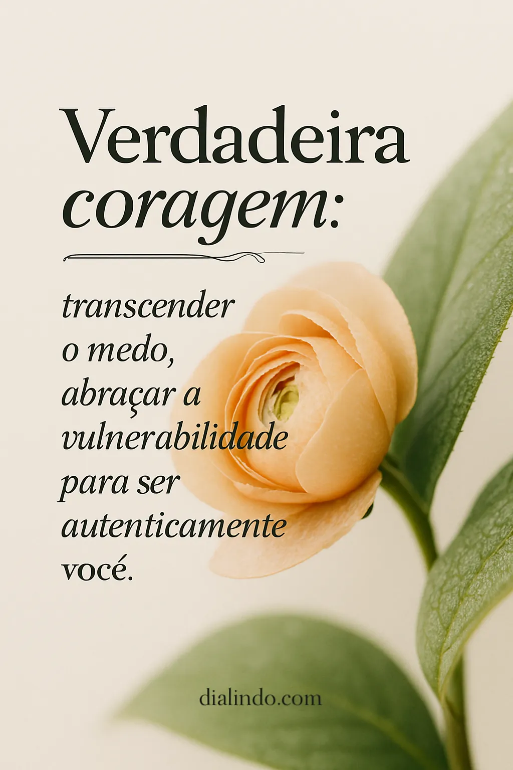 Vulnerabilidade: A Coragem Autêntica