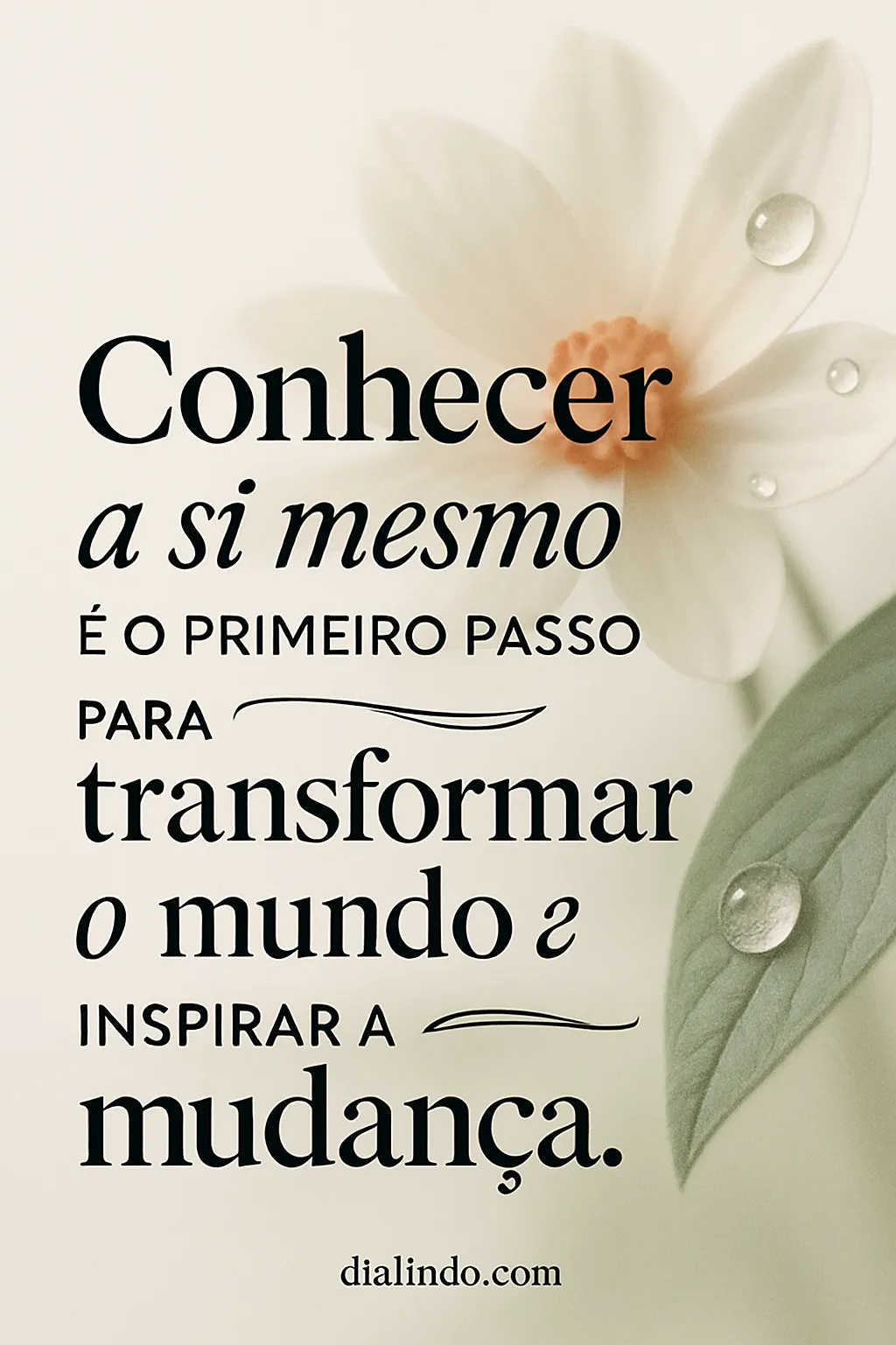 Transformação Começa em Você