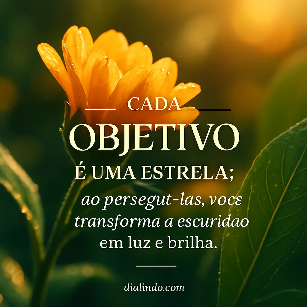 Estrelas na Escuridão