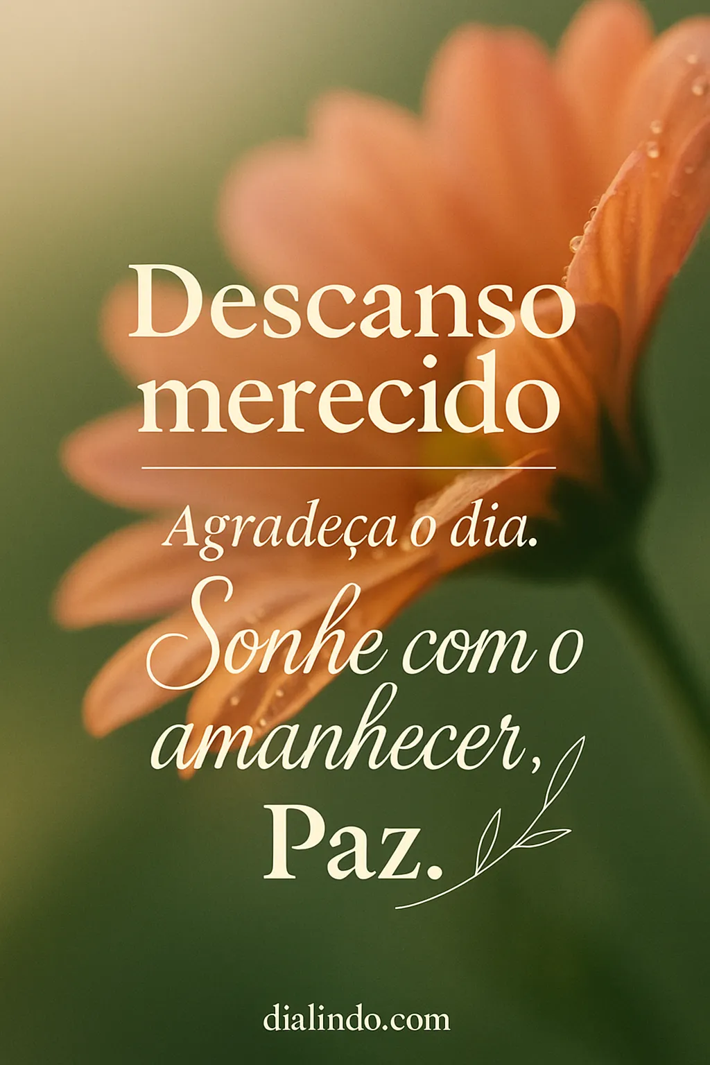 Agradecimento e Aurora