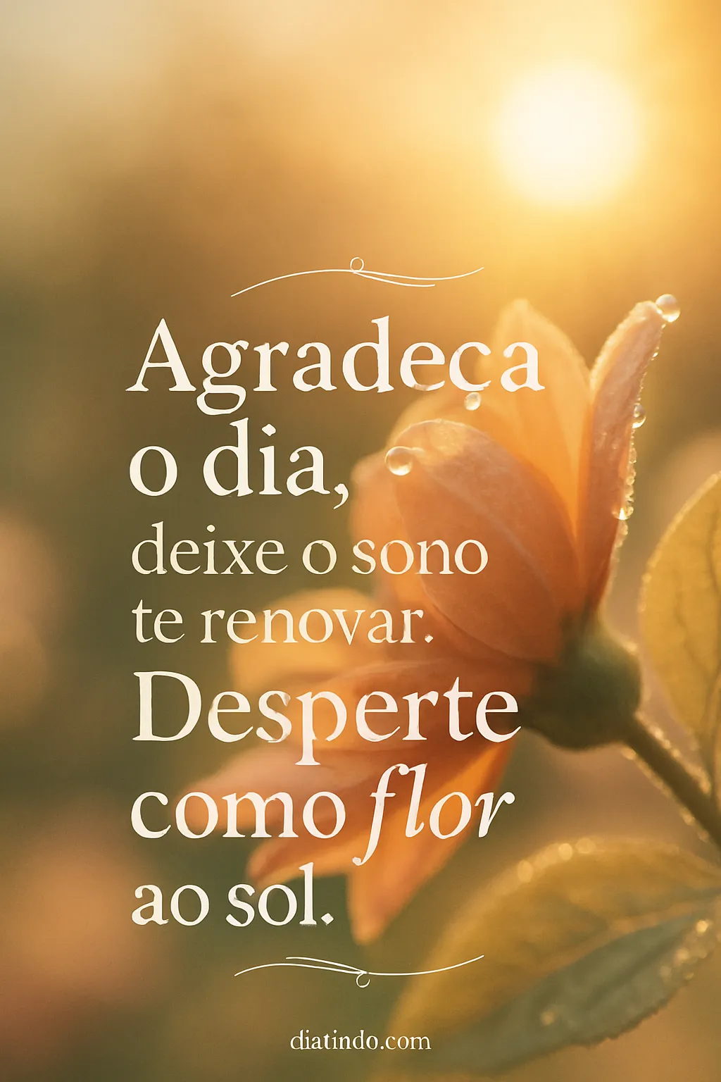 Florescer ao Amanhecer