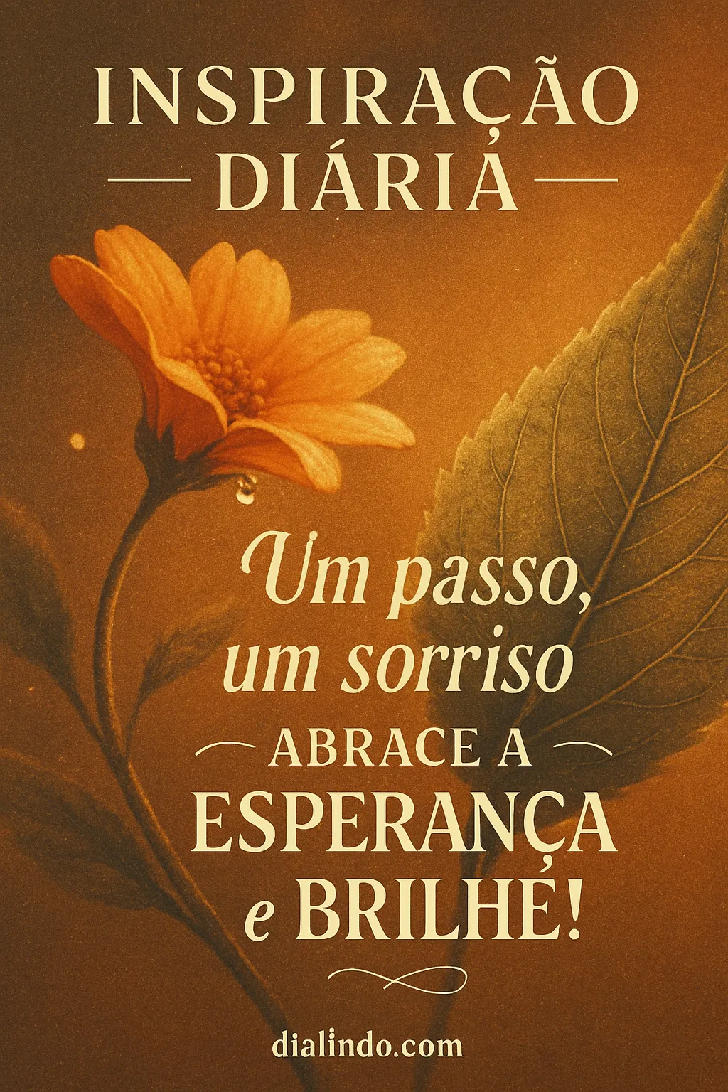 Passo a Passo Brilhante