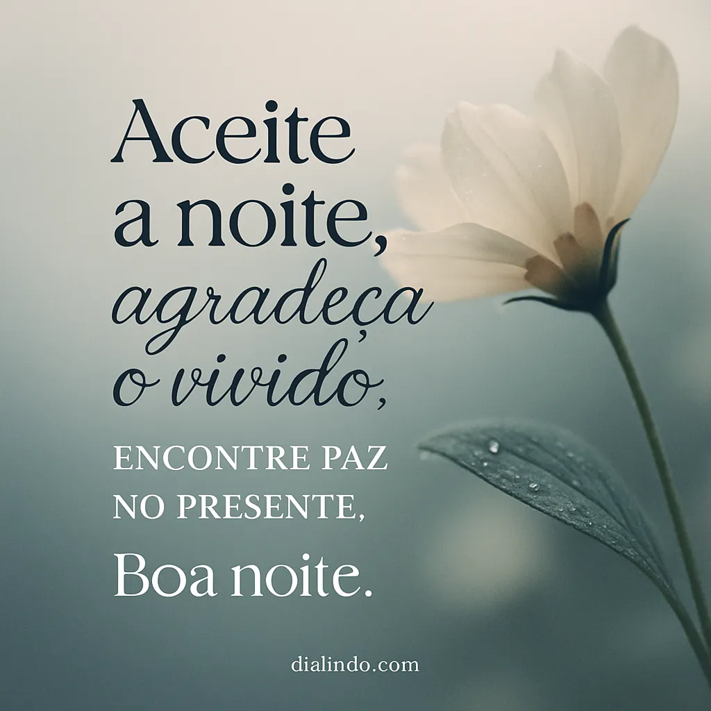 Gratidão Noturna, Paz Presente