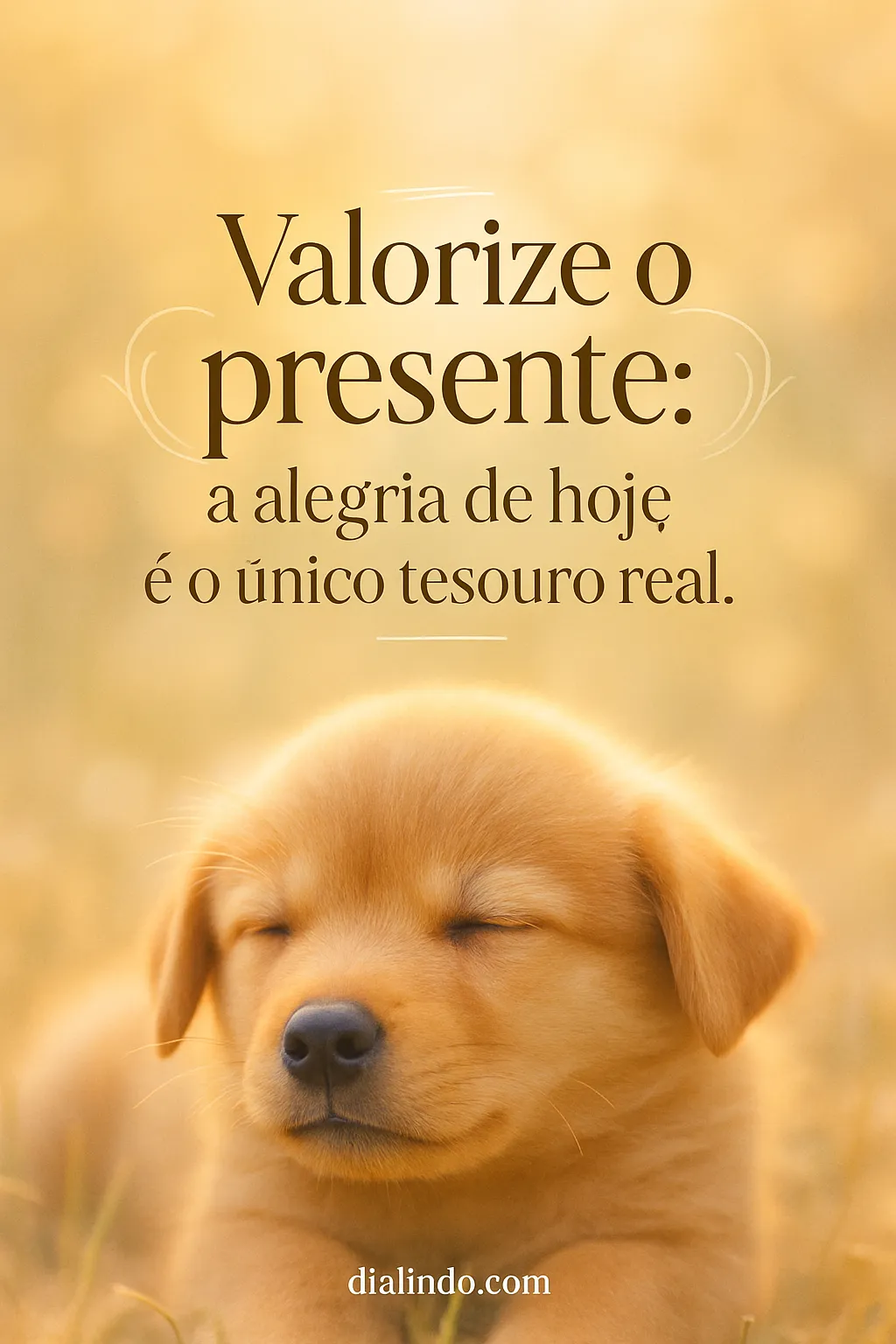 Tesouro Presente: Alegria Hoje