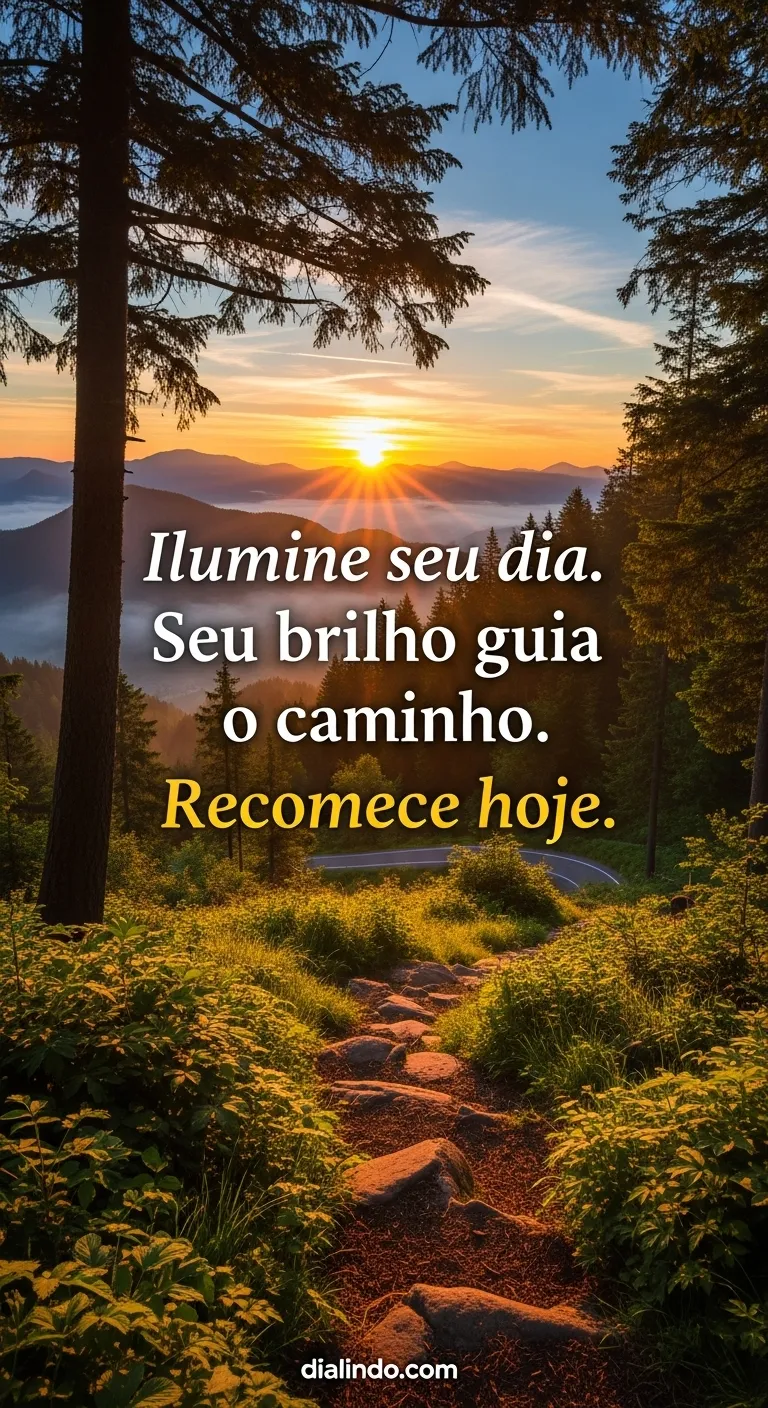 Seu Brilho, Novo Caminho