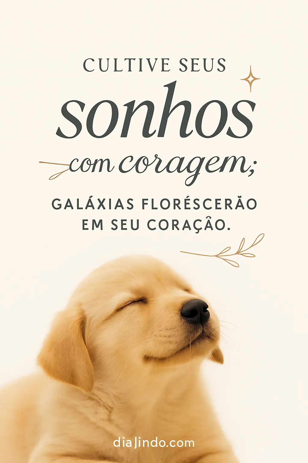 Corações Galácticos Florescem