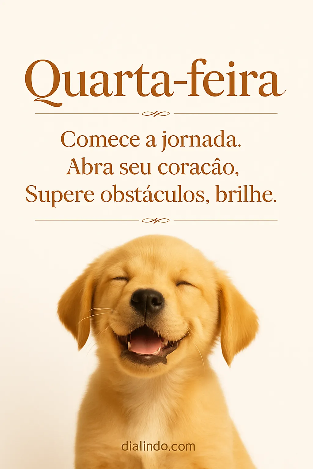 Coração Radiante, Jornada Iluminada