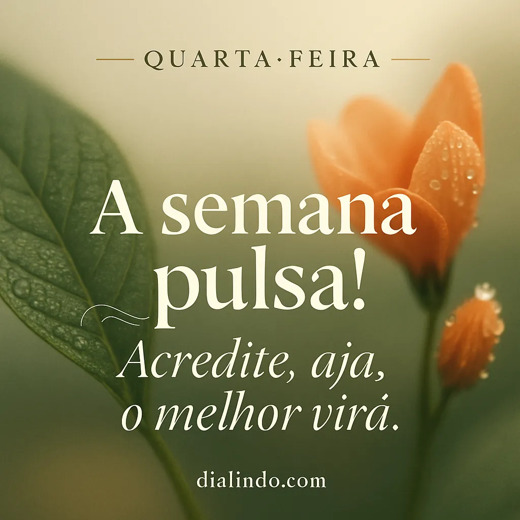 Pulso Semanal da Ação