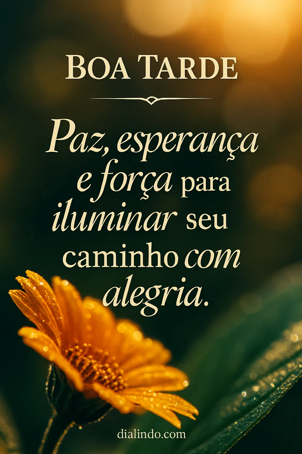 Iluminação Alegre da Alma