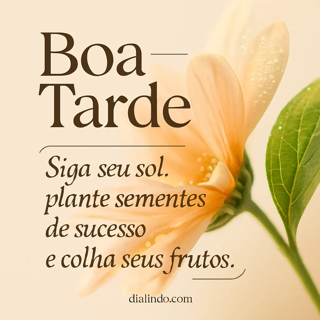 Sol, Sementes, Sucesso