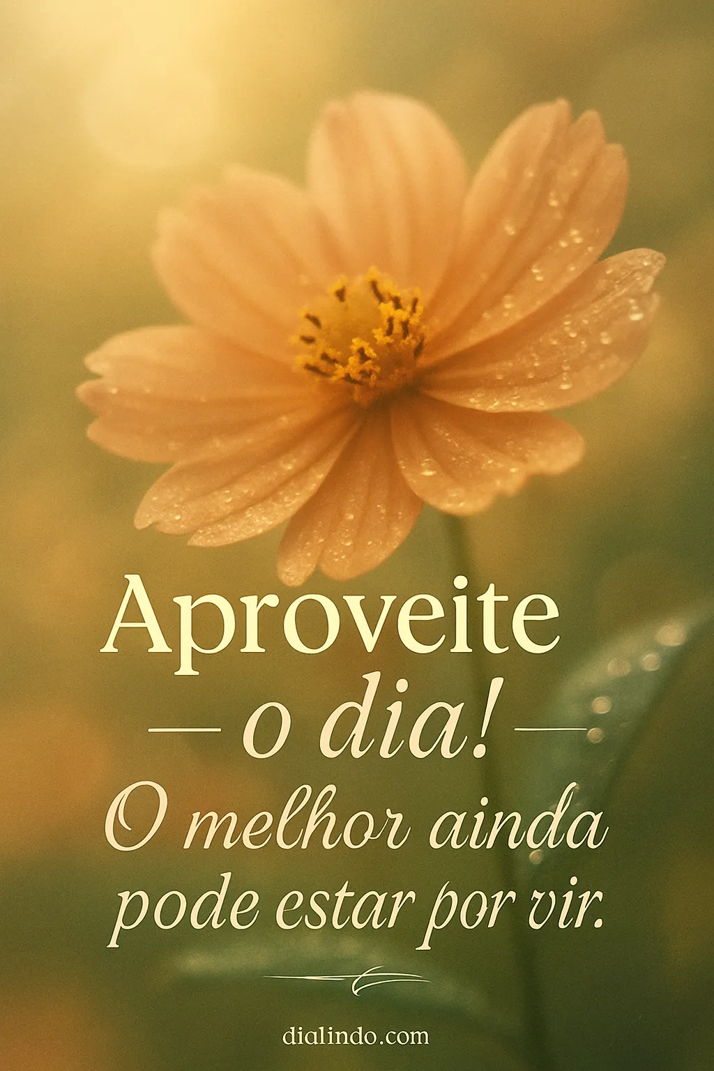 Expectativa do Amanhecer