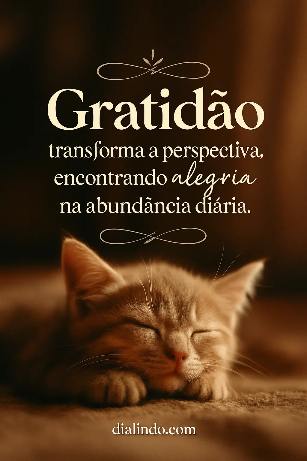 Gratidão: Abundância Diária