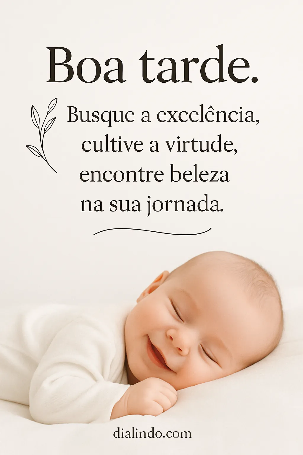 Jornada Virtuosa: Beleza e Excelência