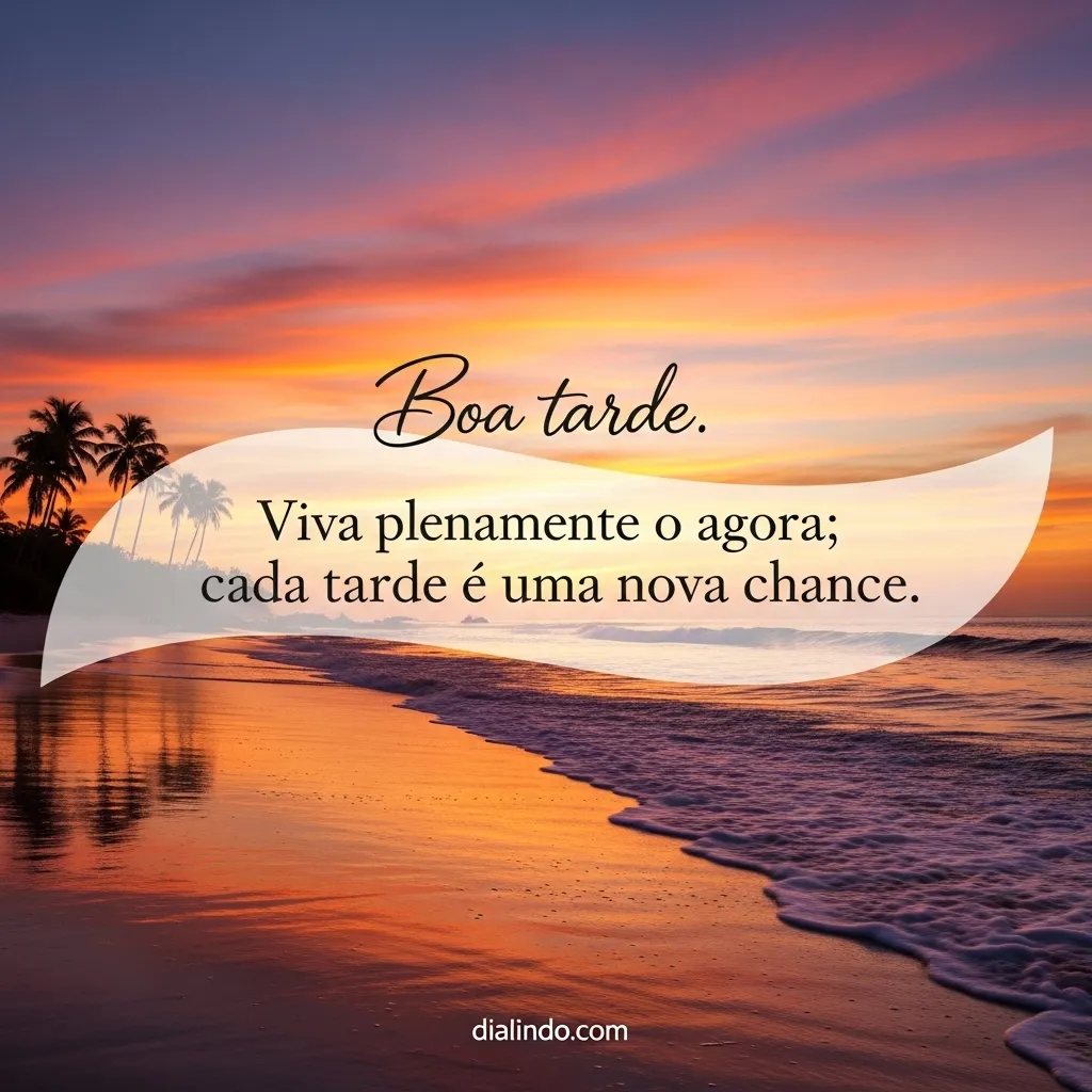 Tarde Nova, Vida Plena