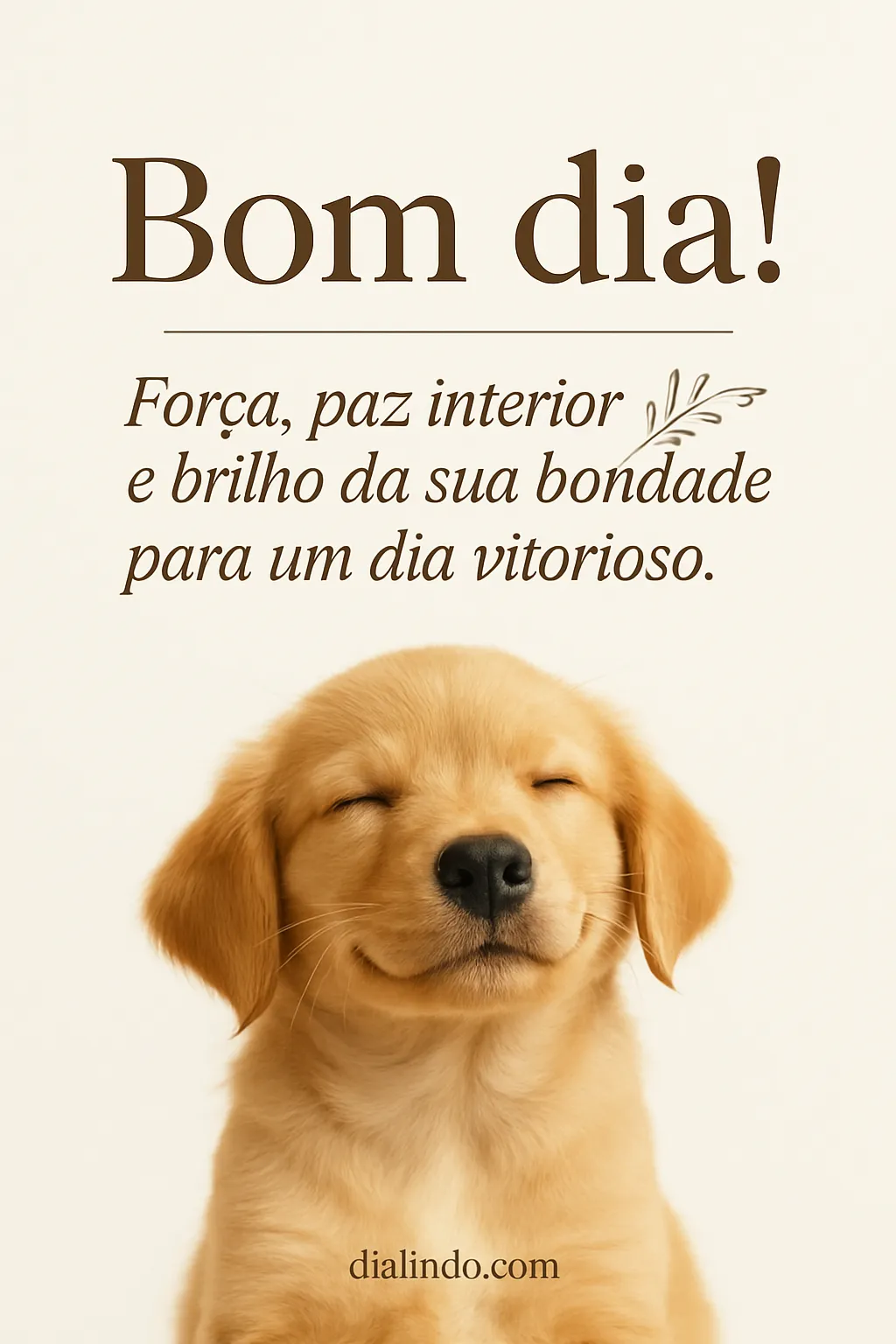 Bondade Ilumina Vitórias