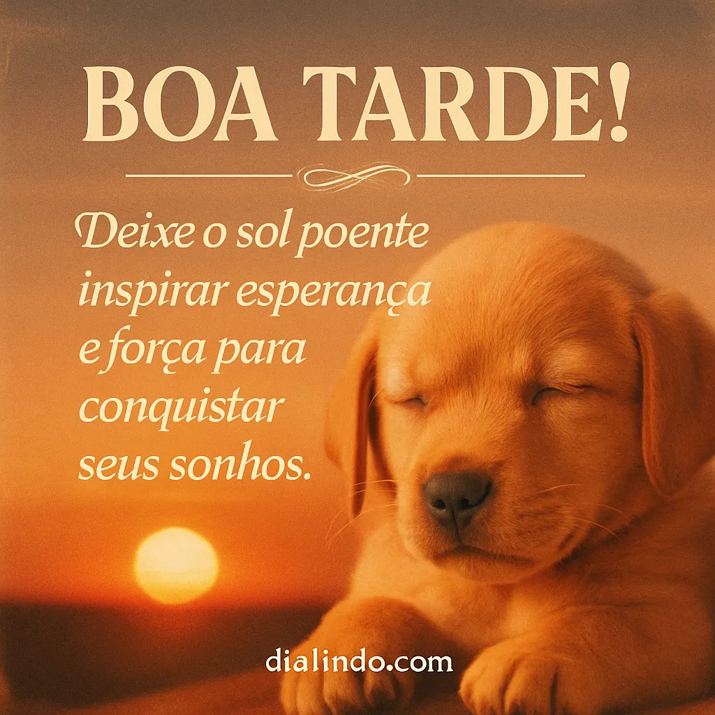 Sol Poente: Sonhos em Ascensão