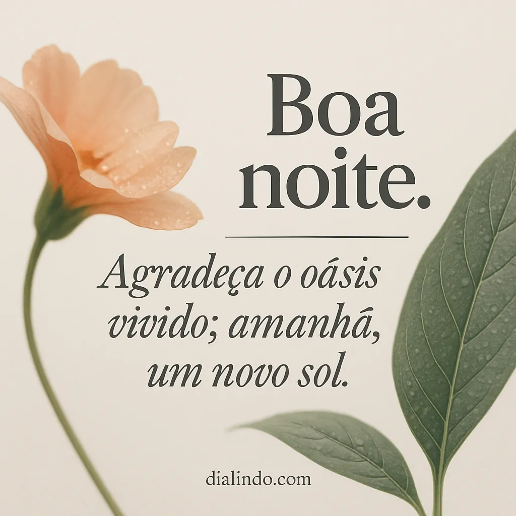 Gratidão Solar: Novo Amanhecer