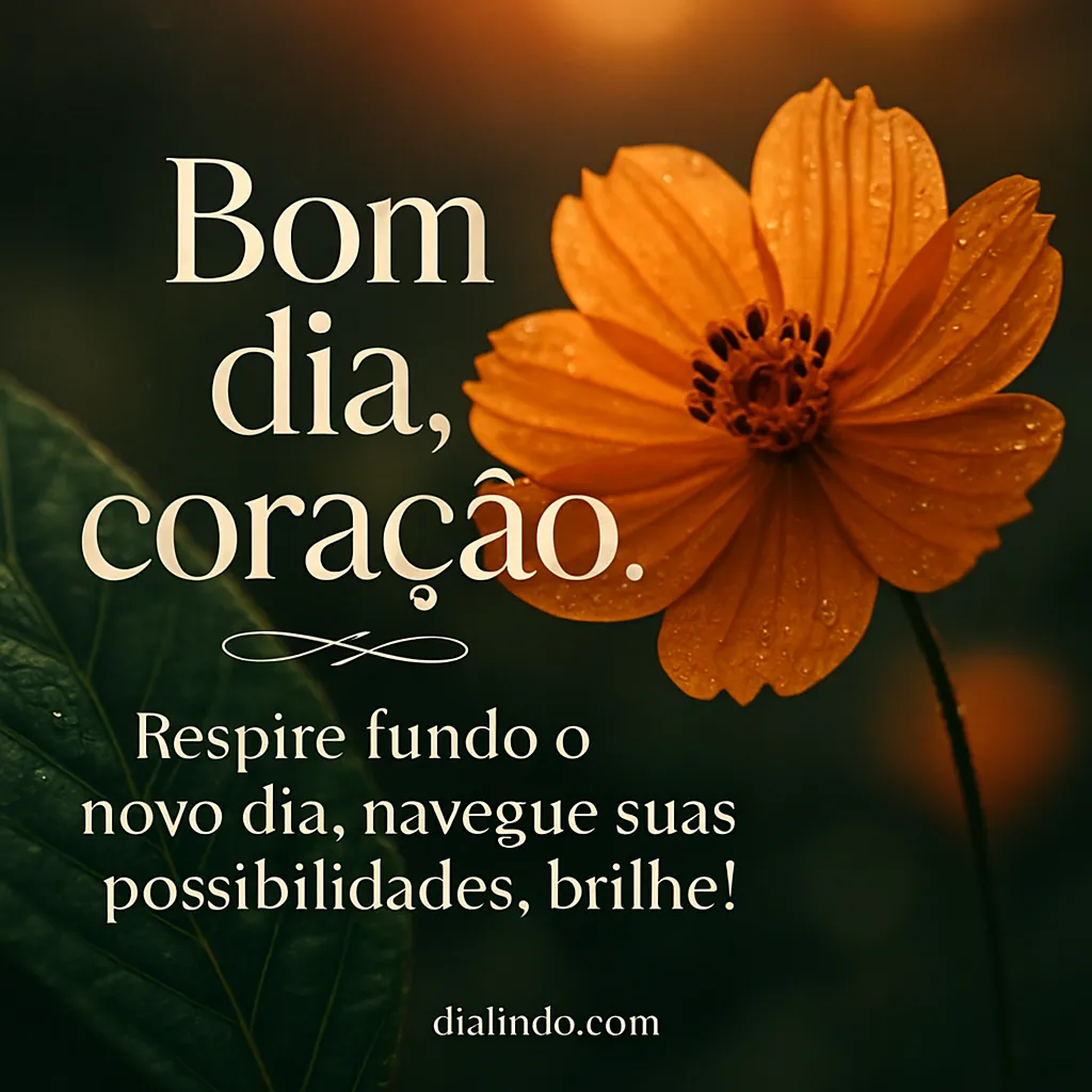 Respira, Brilha, Navega