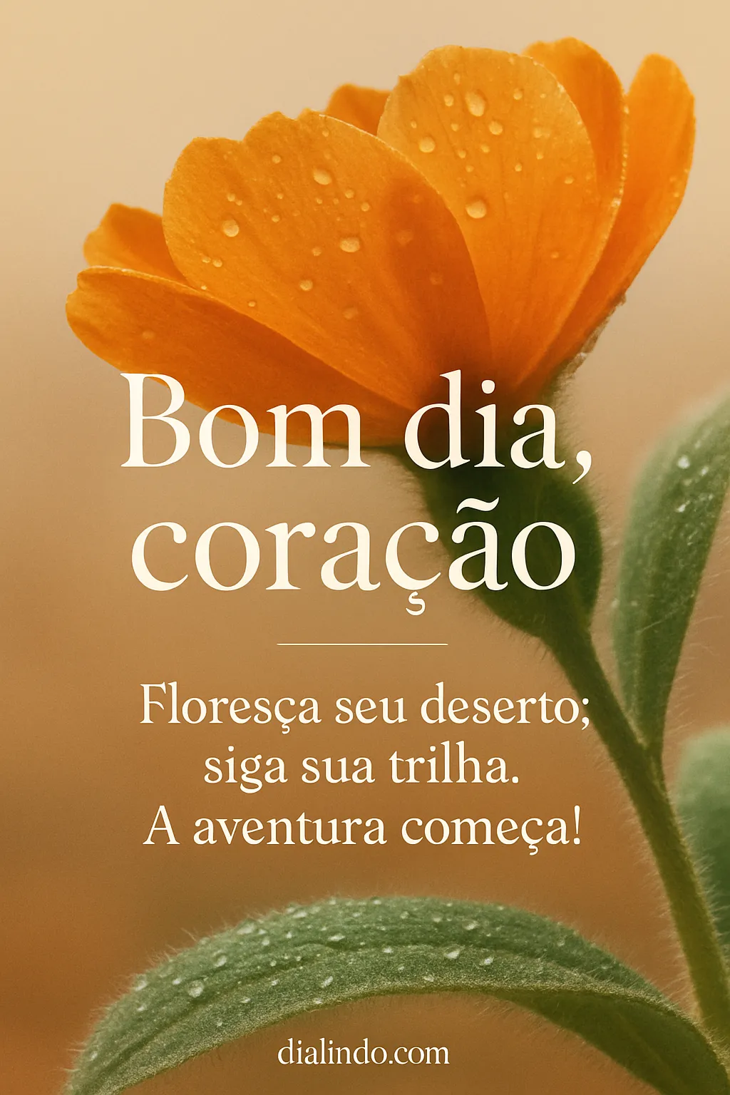 Deserto em Flor