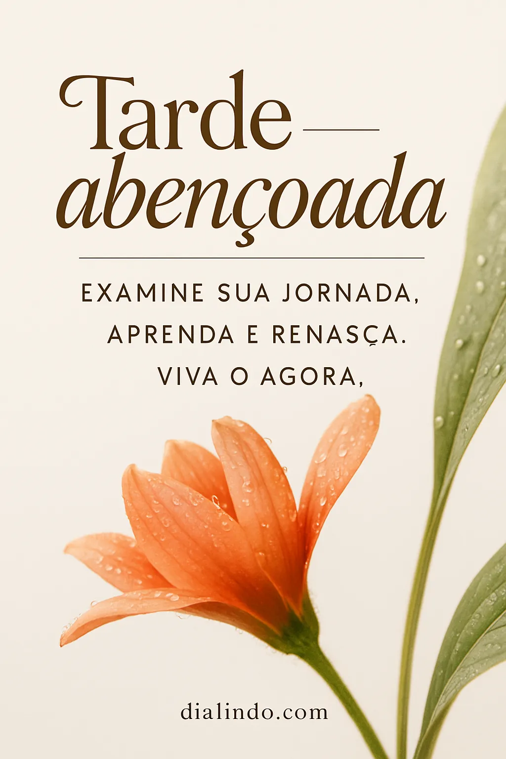 Renascimento da Jornada Atual