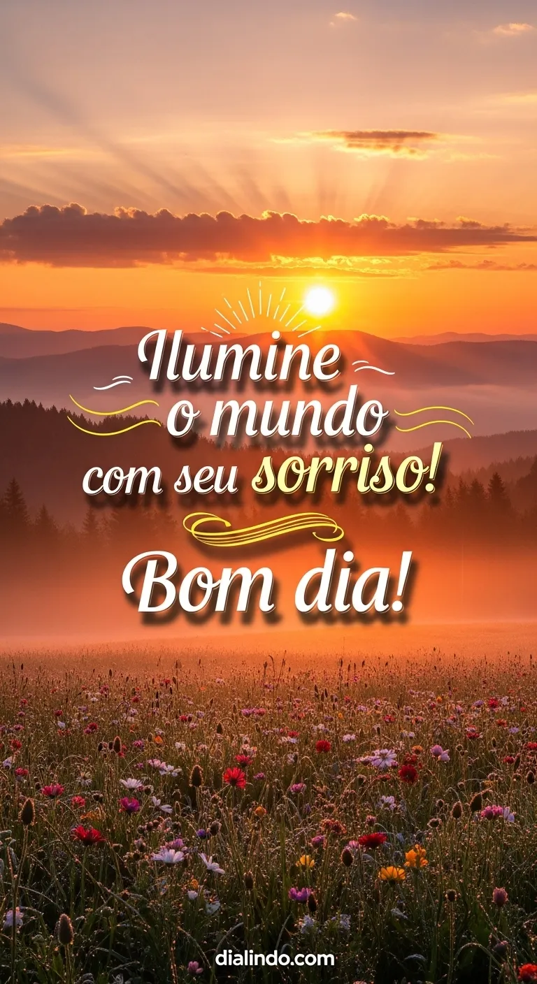 Sorrisos Iluminam o Dia