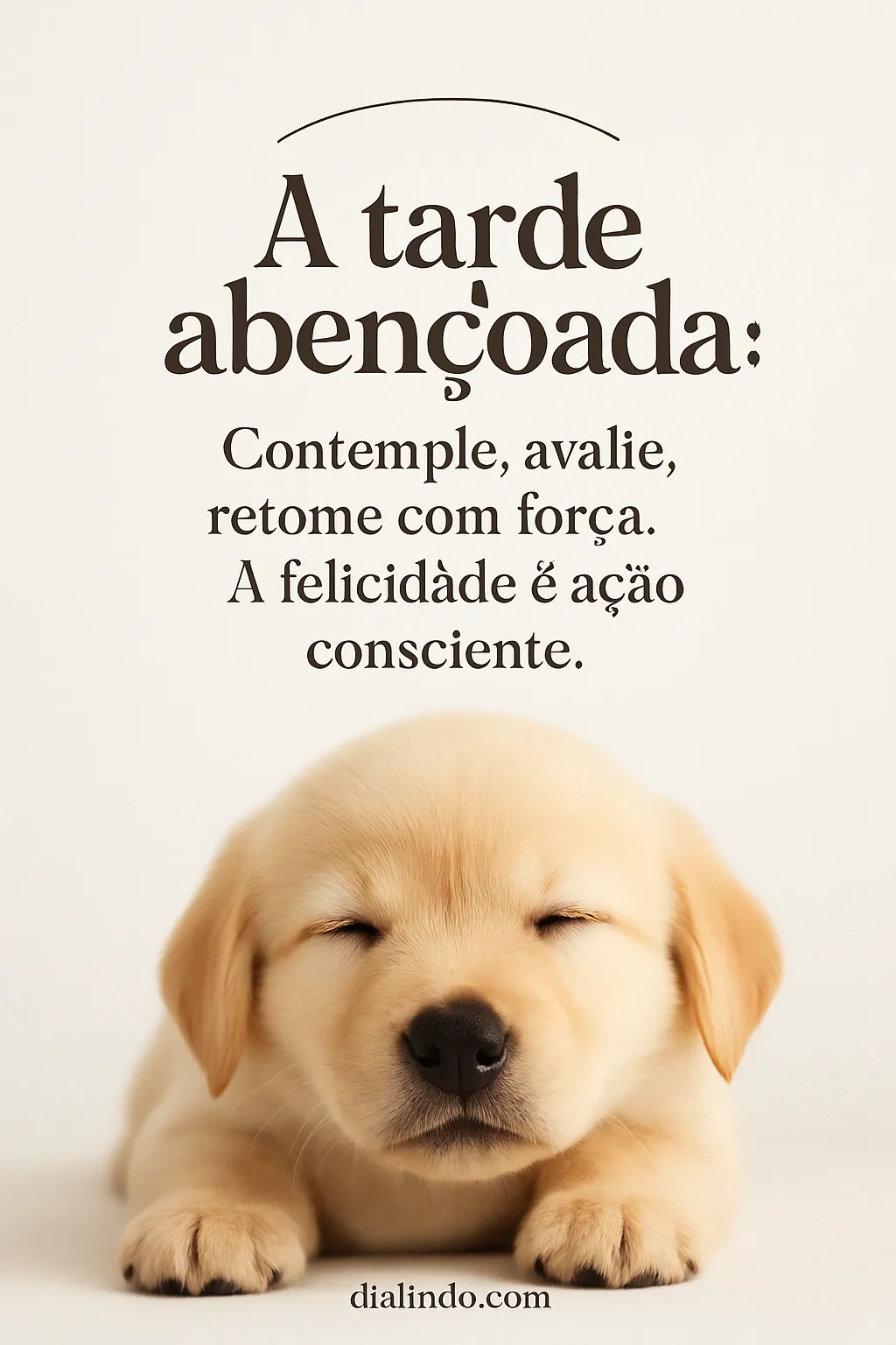 Ação Consciente: Tarde Renovada