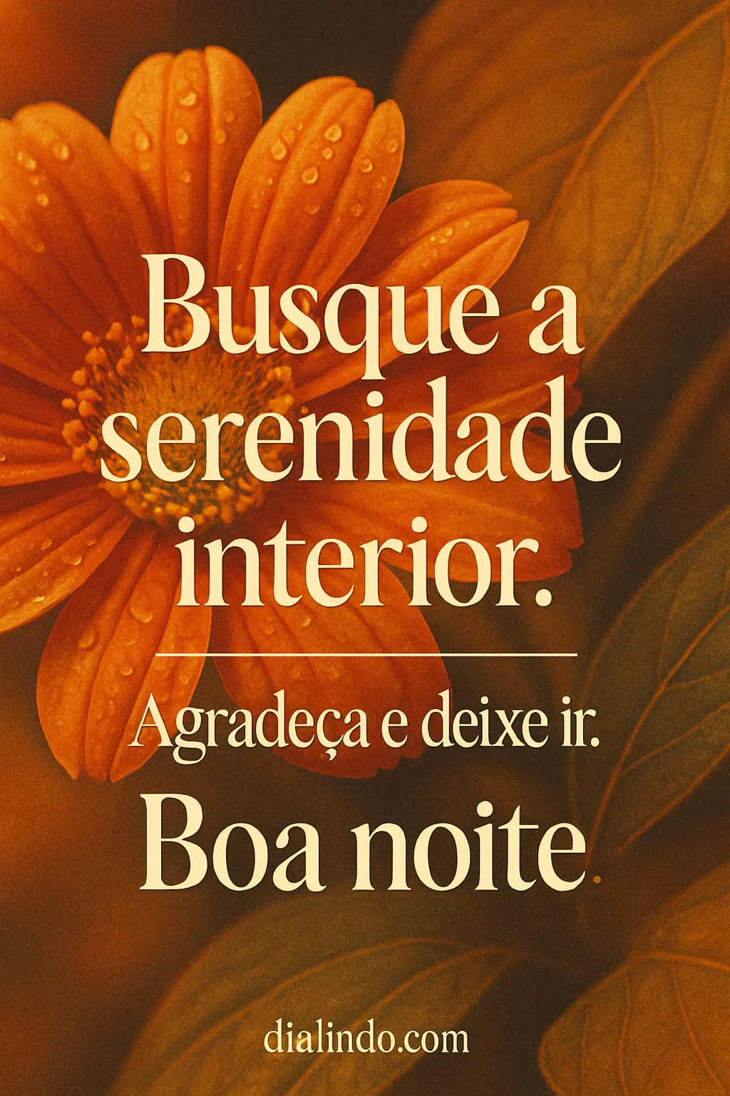 Gratidão Serenidade: Deixe Ir