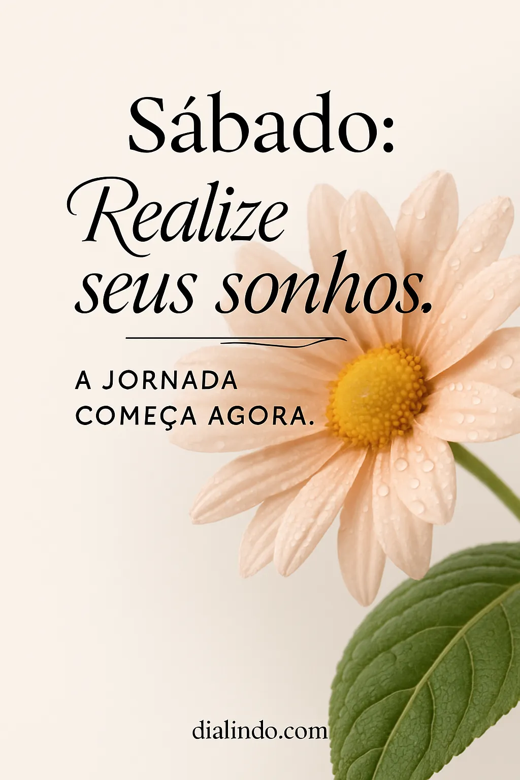 Sábado: Sonhos em Ação