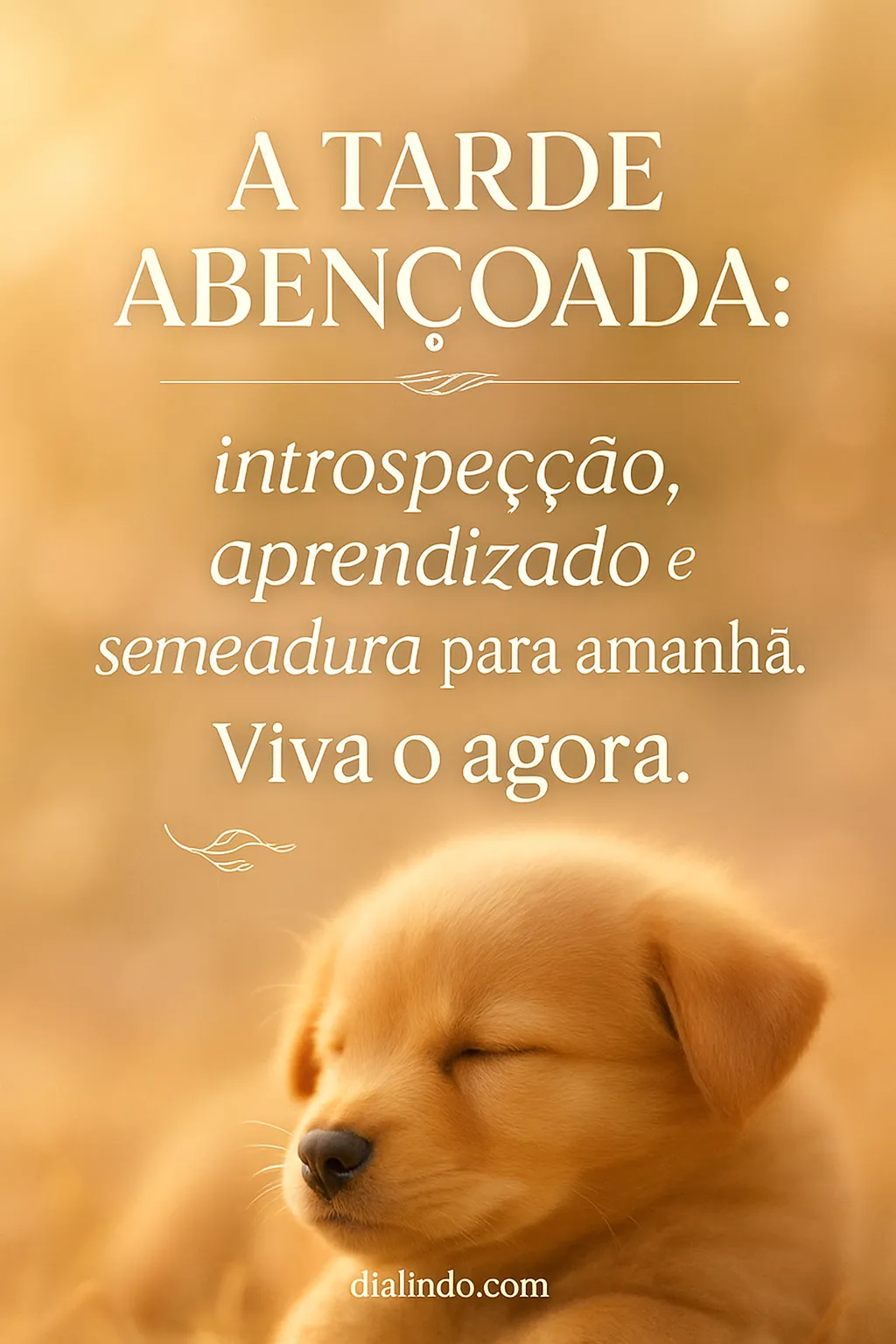 Semeando Amanhã, Hoje