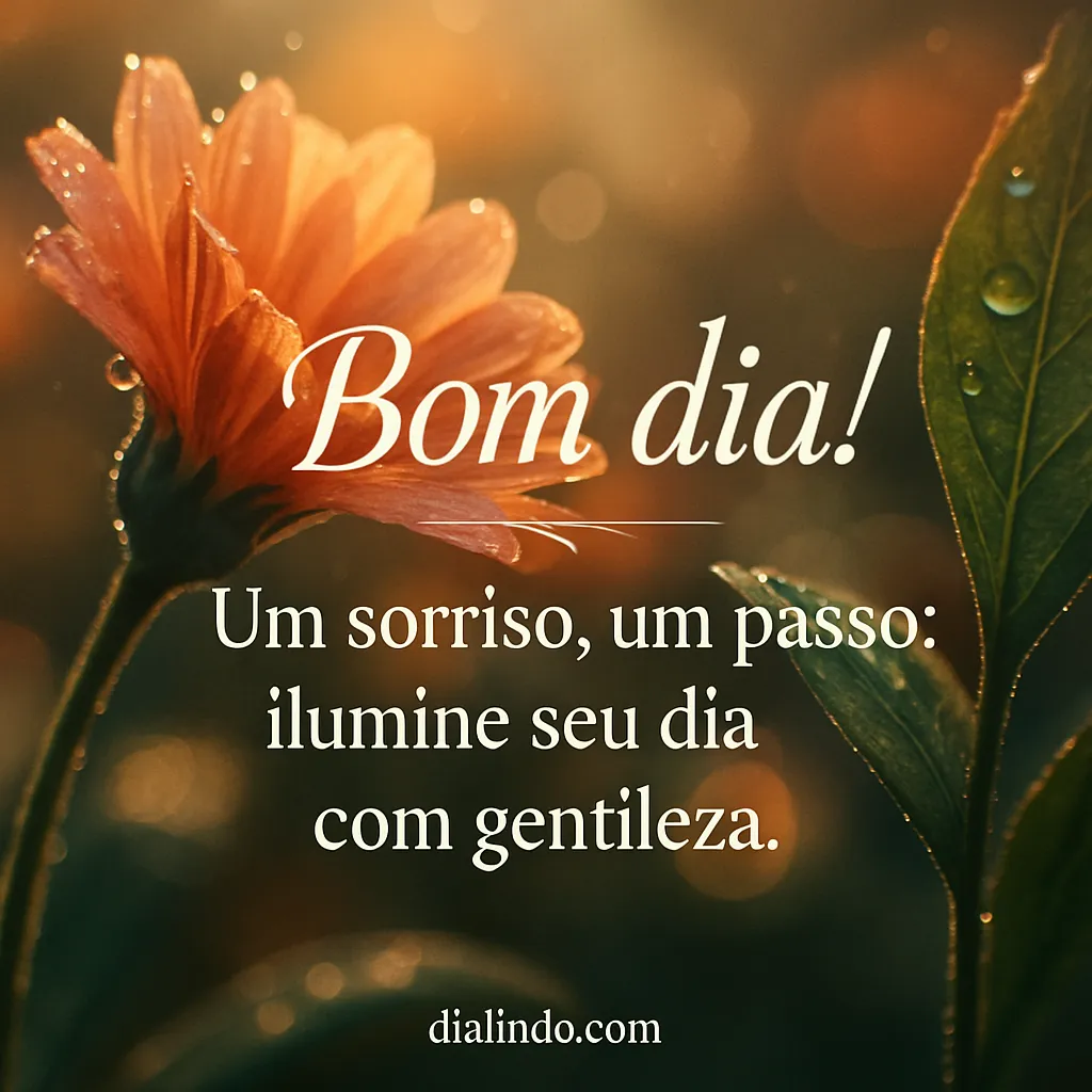 Gentileza Ilumina o Passo