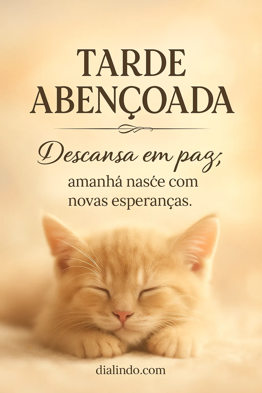 Amanhecer Após o Silêncio