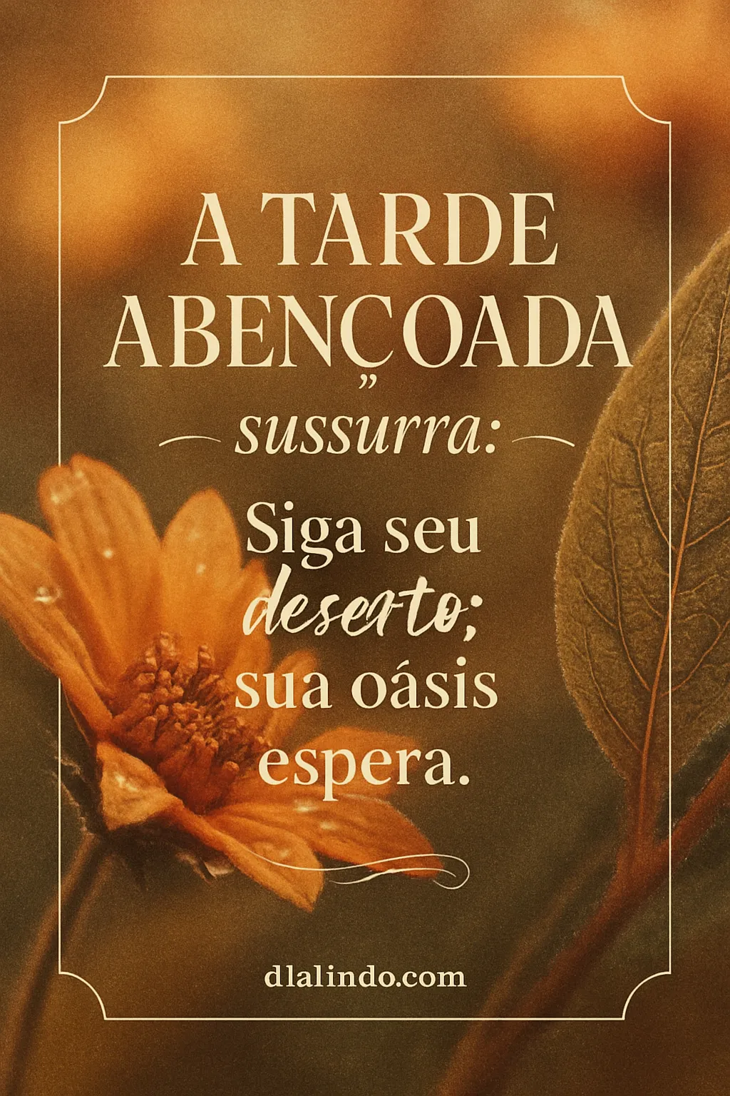 Deserto Floresce Oásis