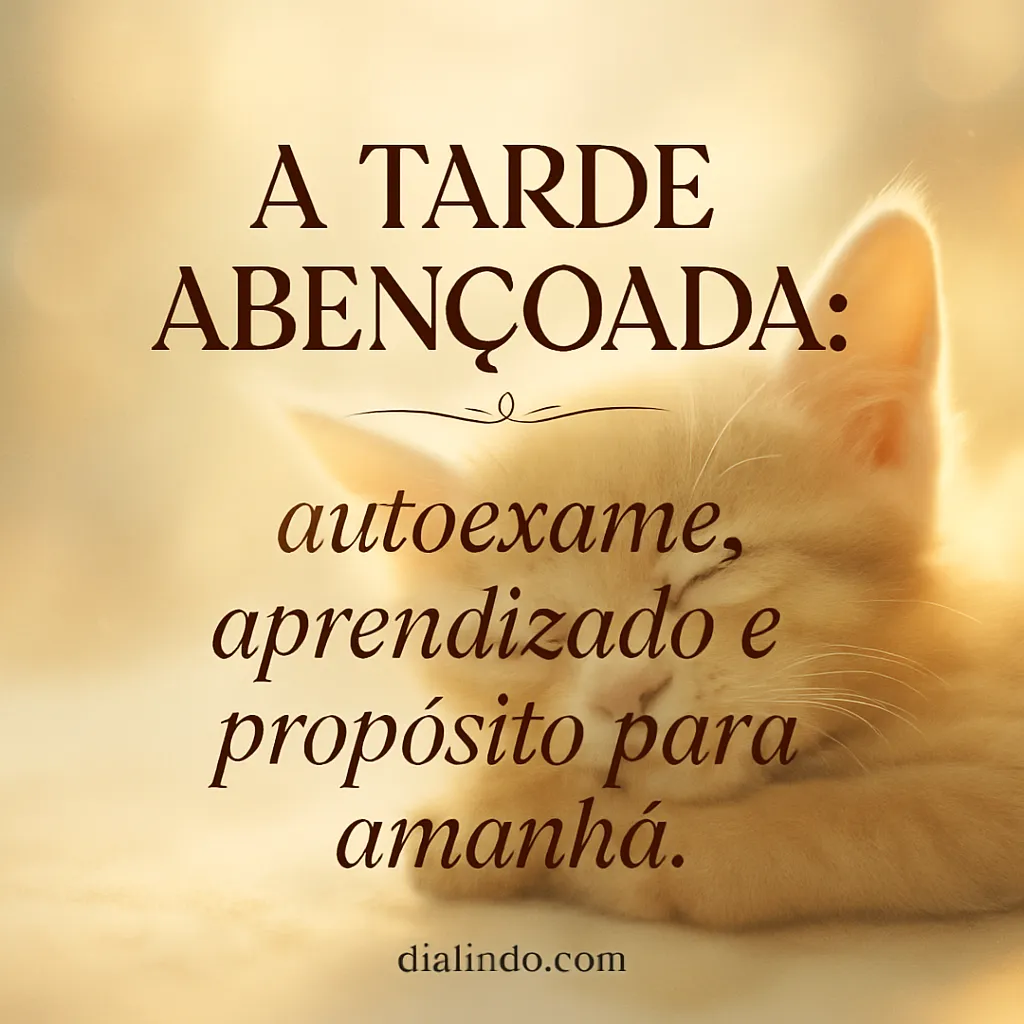 Crepúsculo de Propósito