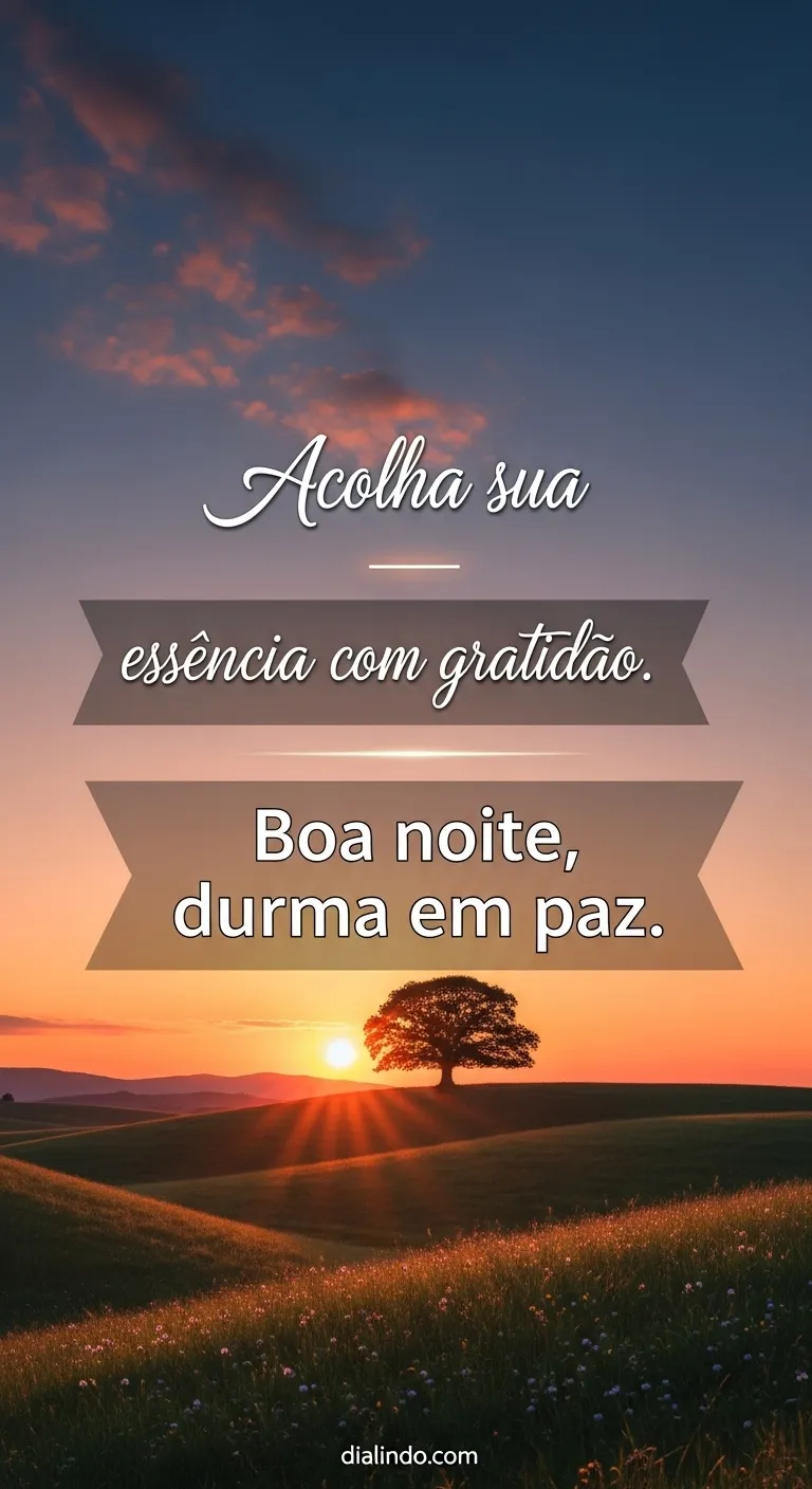 Gratidão Essencial: Boa Noite