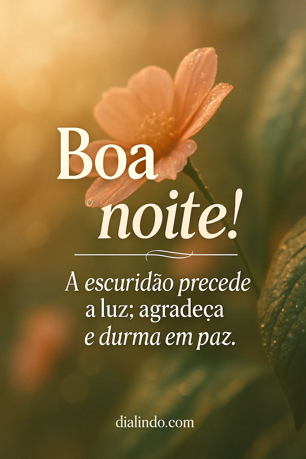 Escuridão: Prelúdio da Luz