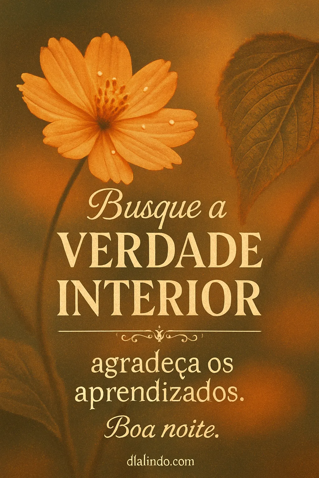Gratidão e Verdade Interior