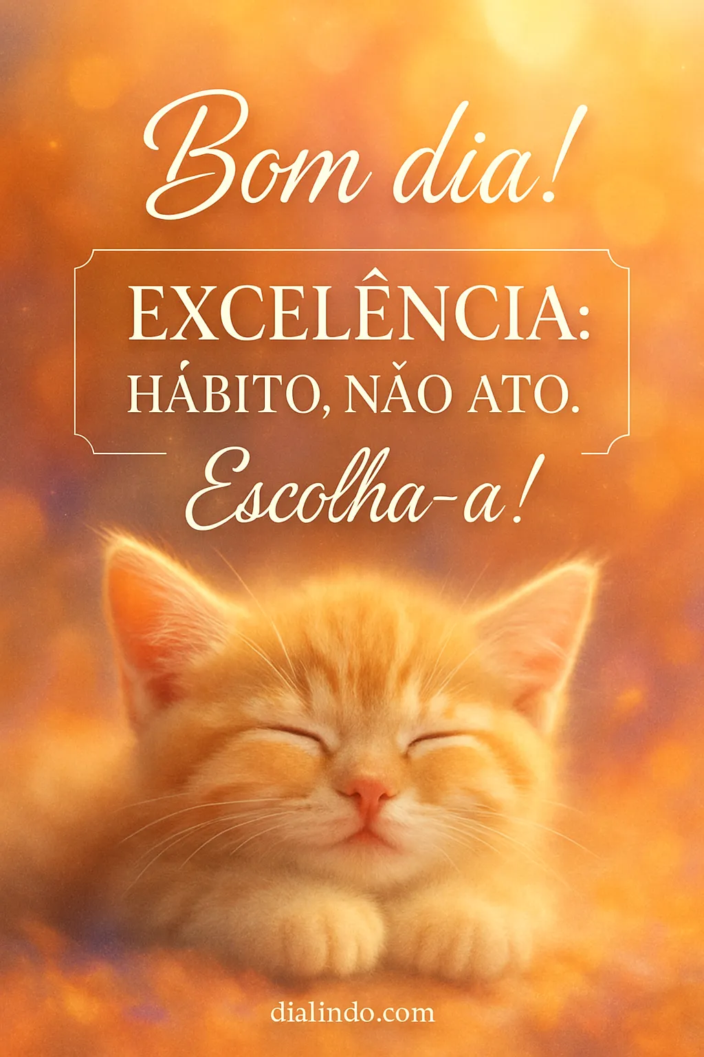 Excelência: Cultivo Diário