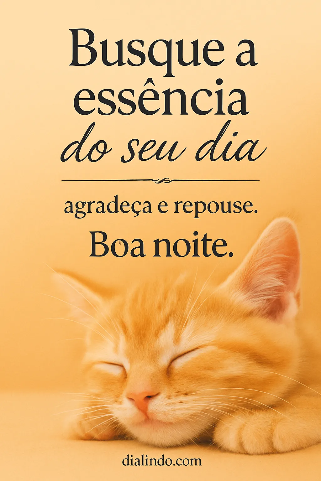 Essência, Gratidão, Repouso