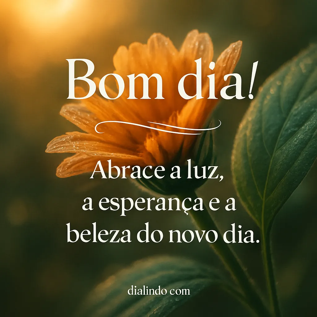 Ilumine o Novo Dia