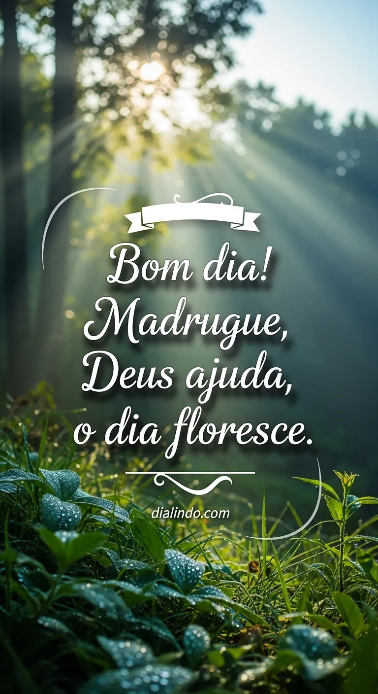 Madrugada Floresce Deus