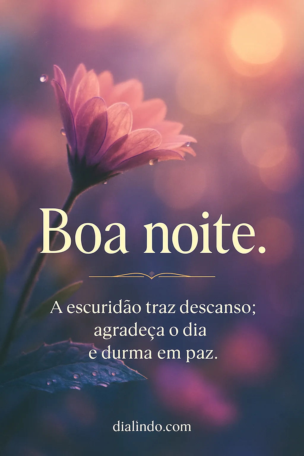 Descanso Noturno: Agradecimento Silencioso