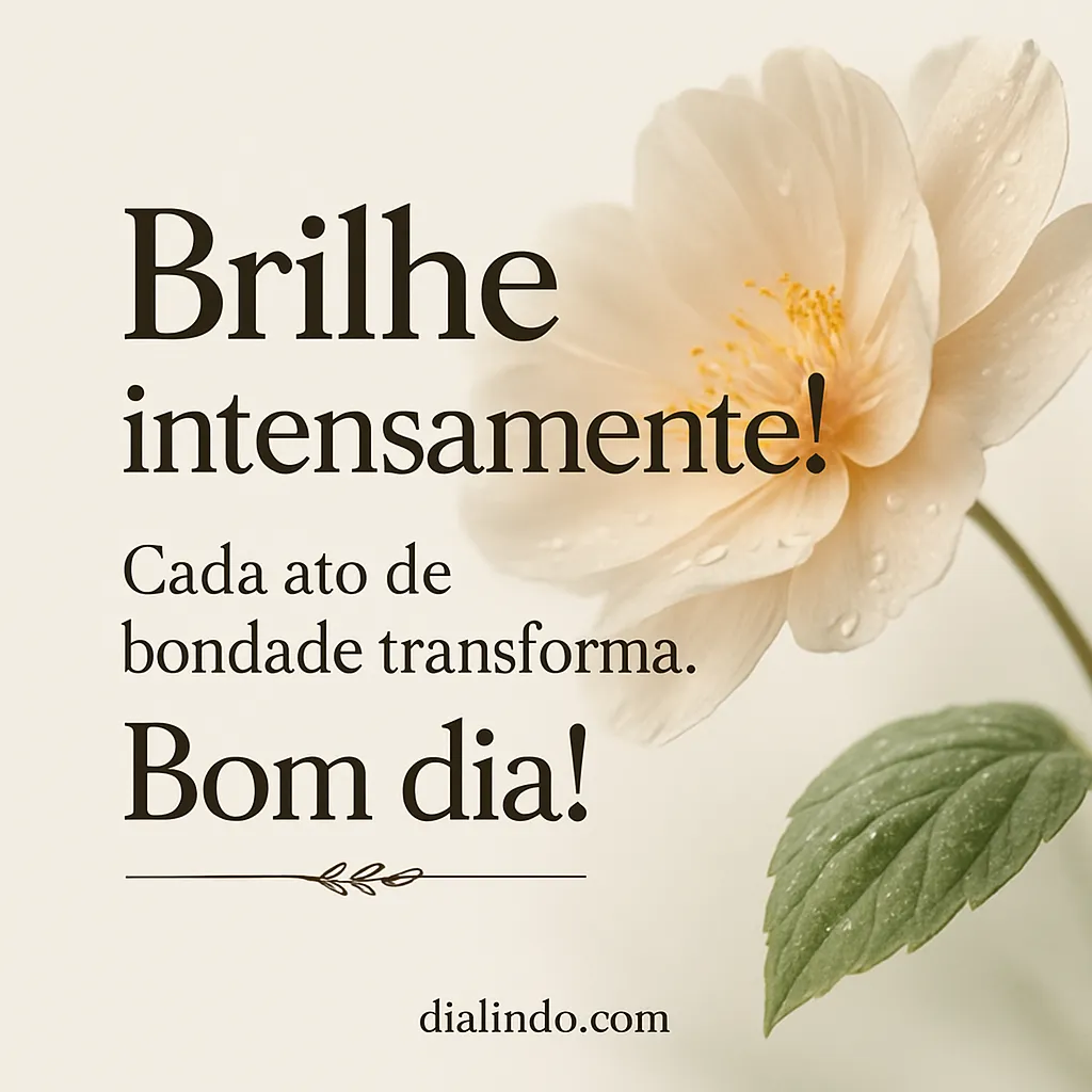 Bondade Transforma Brilhos