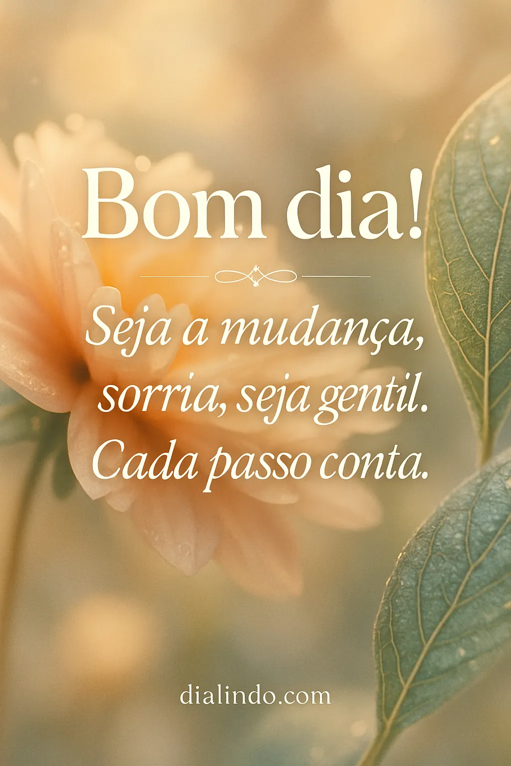 Gentilza Move Montanhas