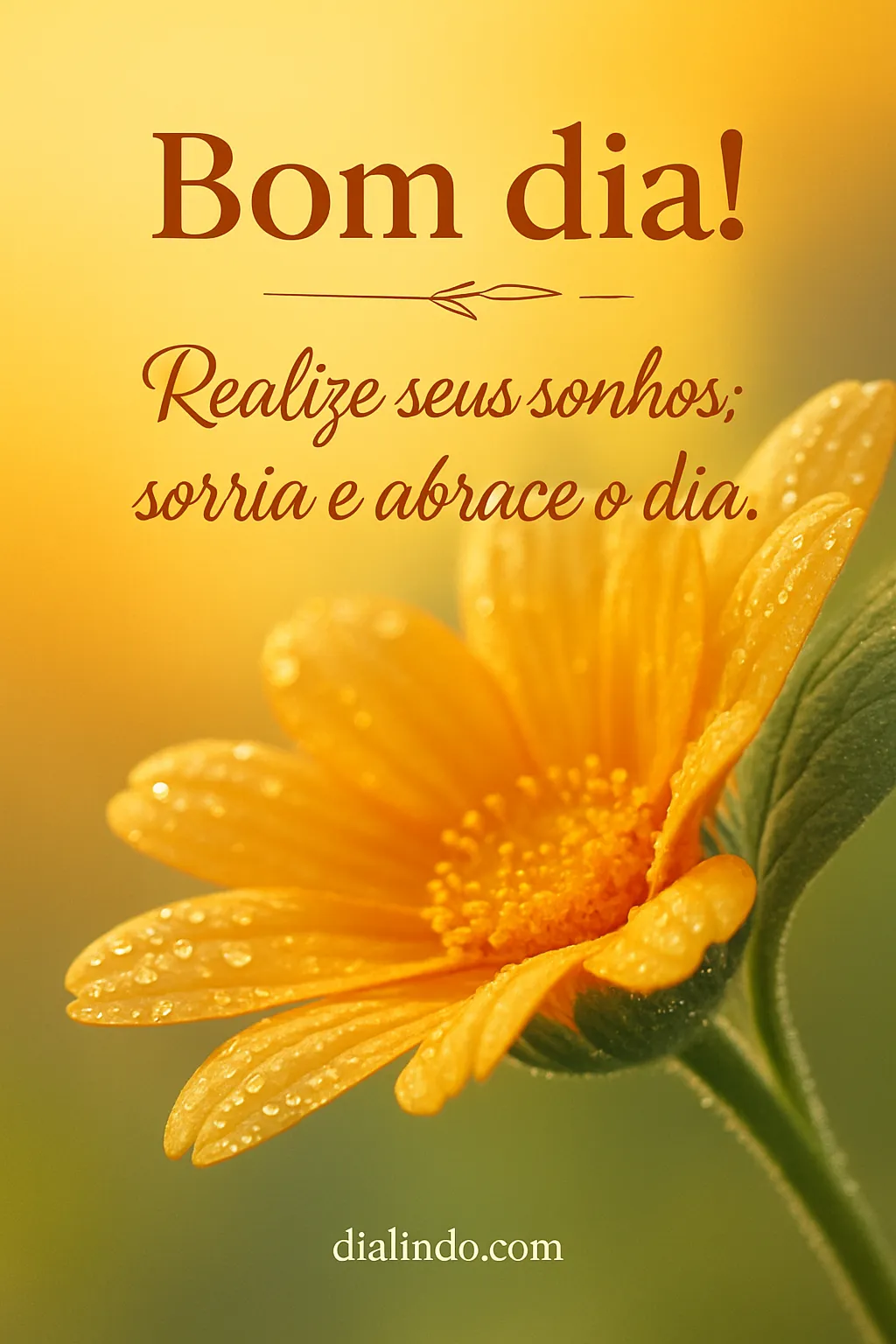 Sonhos, Sorrisos, Novo Dia