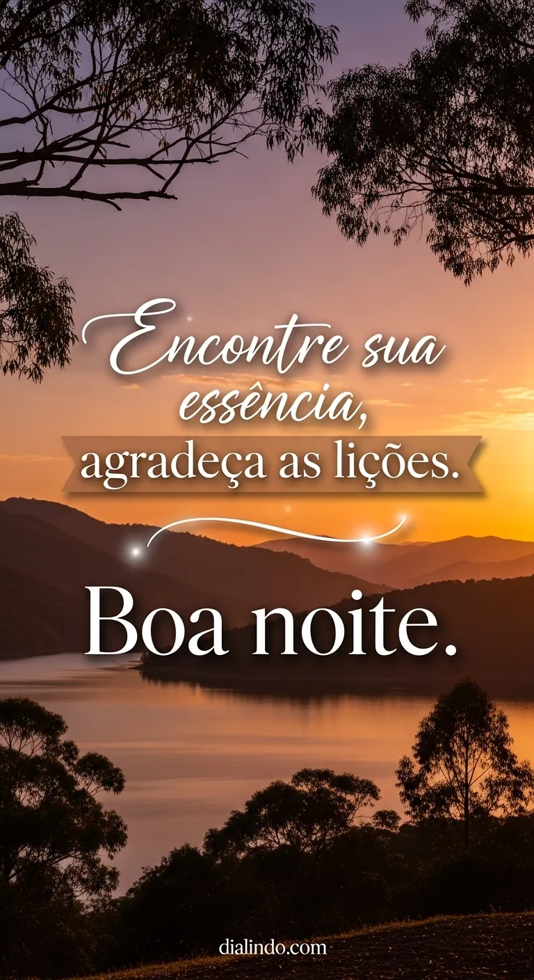 Essência Gratidão Noturna